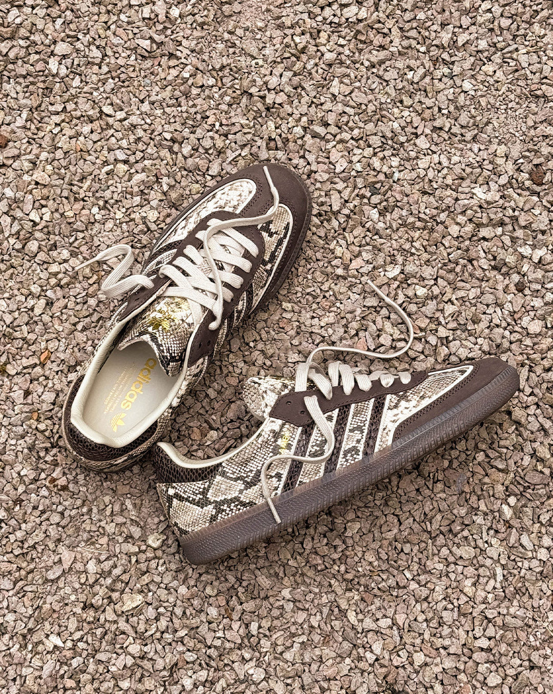 Samba OG - Brown Snake Leather